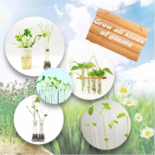Комплект за деца за отглеждане на растения | PAT33334