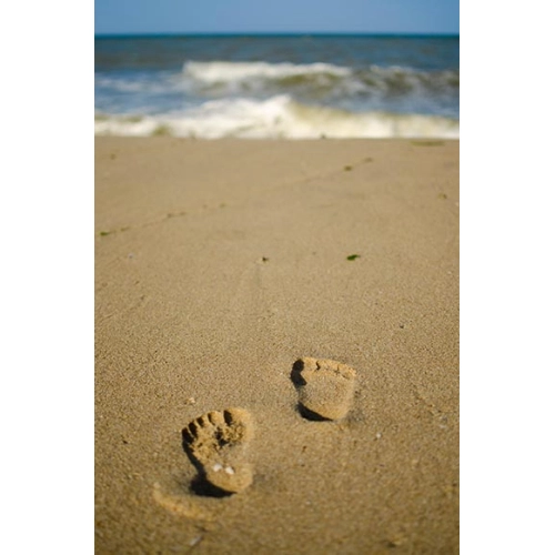 Детски пъзел Стъпки в пясъка 54 части Вретено | PAT36158