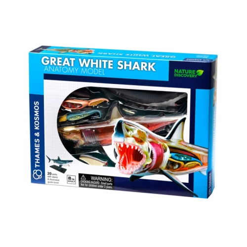 Детски комплект Анатомия Голяма бяла акула | PAT36730