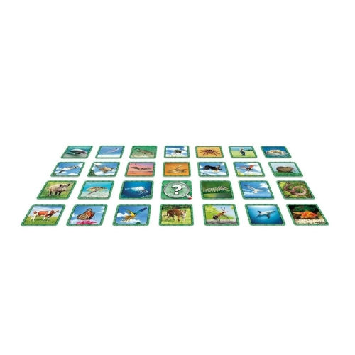 Детска игра с карти Specific | PAT39300