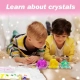 Детска забавна игра Вълшебно кристално дърво с принцеси  - 3