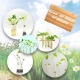 Комплект за деца за отглеждане на растения  - 2