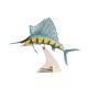 Детски картонен 3D модел за сглобяване Риба меч  - 1