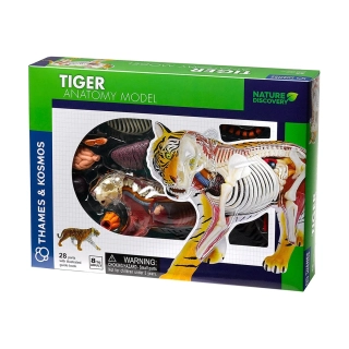 Детски образователен комплект Анатомичен модел на Тигър