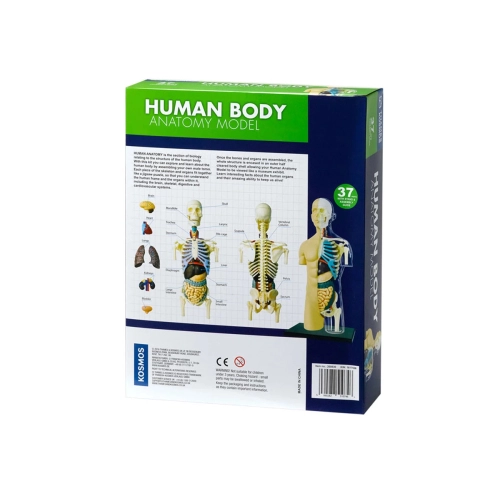 Детски комплект Анатомичен модел на Човешкото тяло | PAT43801