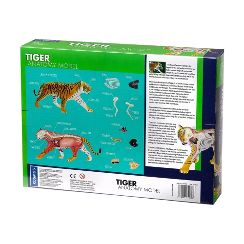 Детски образователен комплект Анатомичен модел на Тигър | PAT43802