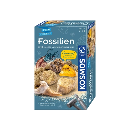 Детски комплект за игра Фосили за изкопаване | PAT43805