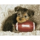 Детски диамантен гоблен Footy Pup 18207 диаманта  - 1