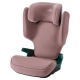 Детски стол за кола Discovery Plus 2 100-150 см Dusty Rose  - 1