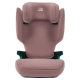 Детски стол за кола Discovery Plus 2 100-150 см Dusty Rose  - 3