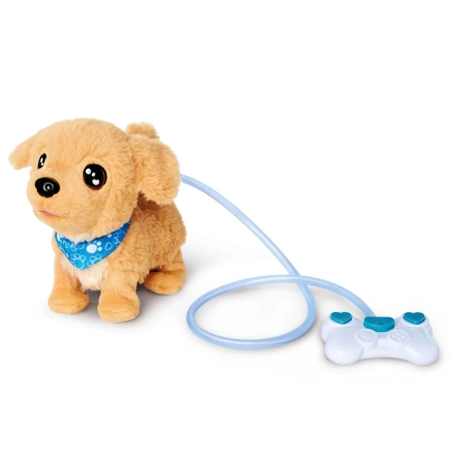 Кученце Чичи Loomy Golden Retriever Chi Chi Love  PAT66851