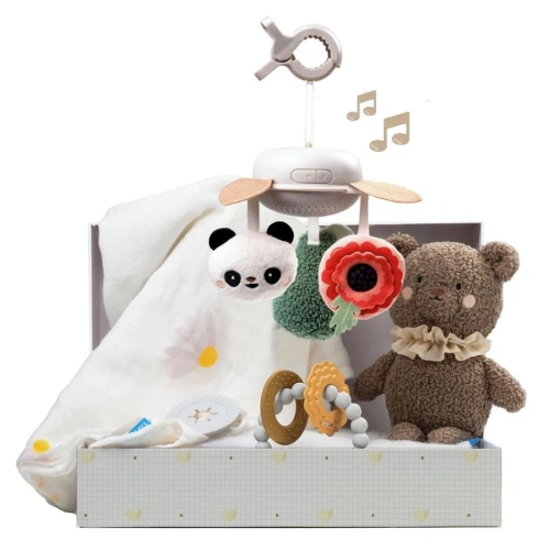 Комплект бебешки играчки Луксозен комплект за новородено PAT67656 Комплект бебешки играчки Луксозен комплект за новородено PAT67656