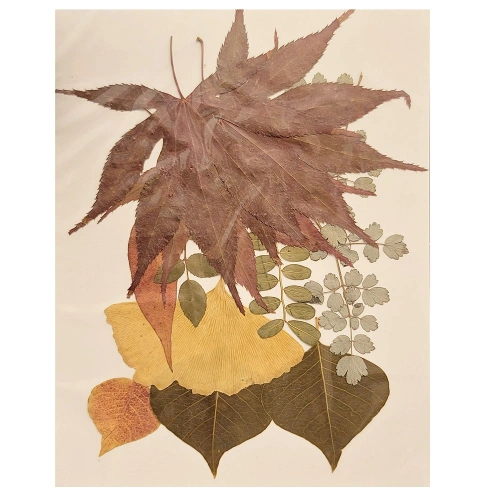 Детски комплект за творчество Колажи с листа  - 4