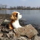Детска плюшена играчка Седящо куче Санбернар 20 см.  - 5