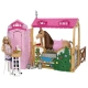 Игрален комплект Barbie Mysteries The great horse chase  - 5