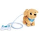 Кученце Чичи Loomy Golden Retriever Chi Chi Love   - 3
