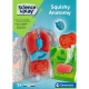 Детски комплвкт за игра Анатомия Science Play LAB Squishy  - 2
