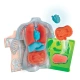 Детски комплвкт за игра Анатомия Science Play LAB Squishy  - 7