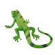 Детска фигурка за игра и колекциониране Игуана  - 3