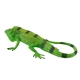 Детска фигурка за игра и колекциониране Игуана  - 4