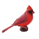 Детска фигурка за игра и колекциониране Червен кардинал  - 5