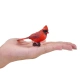 Детска фигурка за игра и колекциониране Червен кардинал  - 6