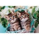 Детски занимателен пъзел Lovely Kitty Twins 60 части  - 2