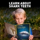 Детски комплект Открий си сам Фосил от Акула National Geographic  - 3