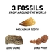 Детски сет Открий си сам Фосил от Динозавър National Geographic  - 4