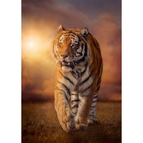 Пъзел Clementoni HQ Collection Tiger | P79155