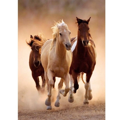 Пъзел Clementoni HQ Collection Running Horses | P79158