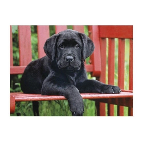 Пъзел Clementoni Черно куче | P79171