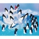 Детска настолна игра Ravensburger - Пингвини на айсберг  - 4