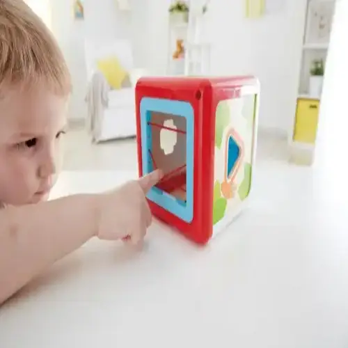 Детска кутия за сортиране на форми Hape | P92256