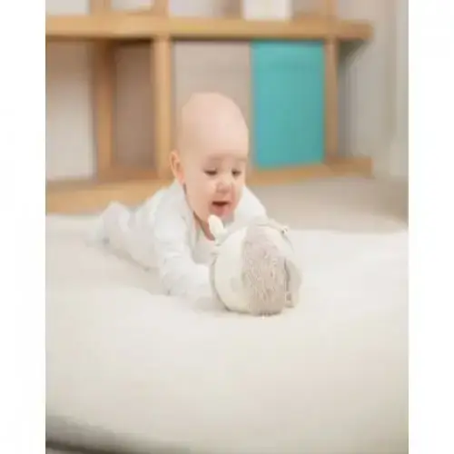 Бебешка играчка - Мека топка - BigJigs Мече | P92803