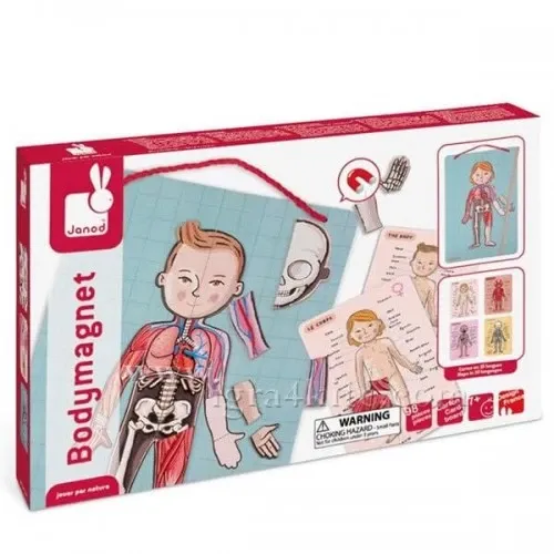 Детска магнитна игра - Анатомия на човешкото тяло Janod | P97935