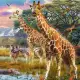 Детски пъзел Ravensburger Жирафи в Африка 150 ел. XXL  - 2