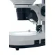 Бинокулярен микроскоп, 4ST  - 7