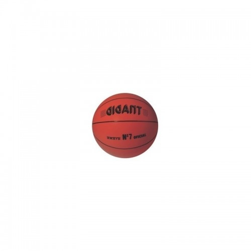 Баскетболна топка, 55_70021000 | P1412863