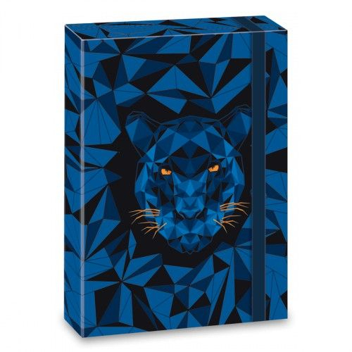 Кутия с ластик A4 Black Panther | P1421089