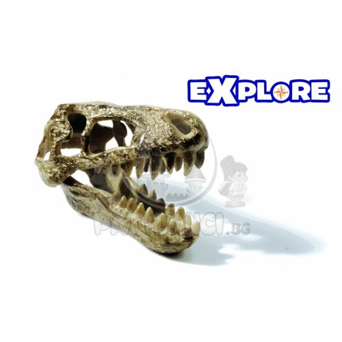 Комплект разкопки динозавър SES Creative Explore  - 3