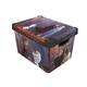 Кутия за съхранение Frozen II, 20 L 