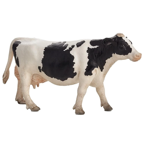 Крава порода Холщайн | P1440174
