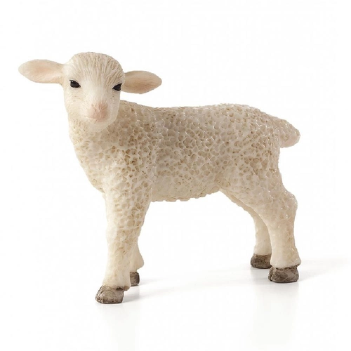 Стояща овца | P1440184