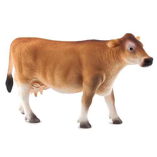 Крава порода Джерсей | P1440190