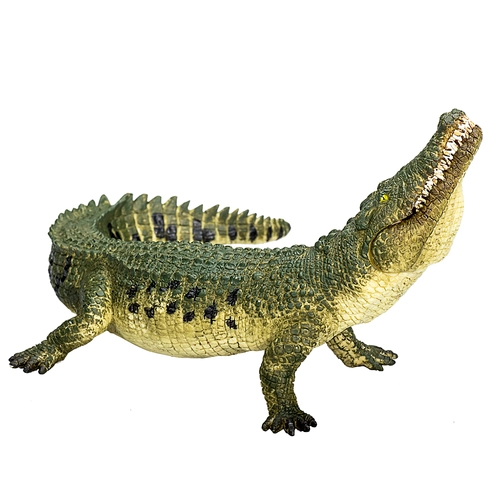 Крокодил с подвижна челюст | P1440209