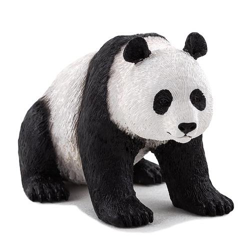 Гигантска панда | P1440210
