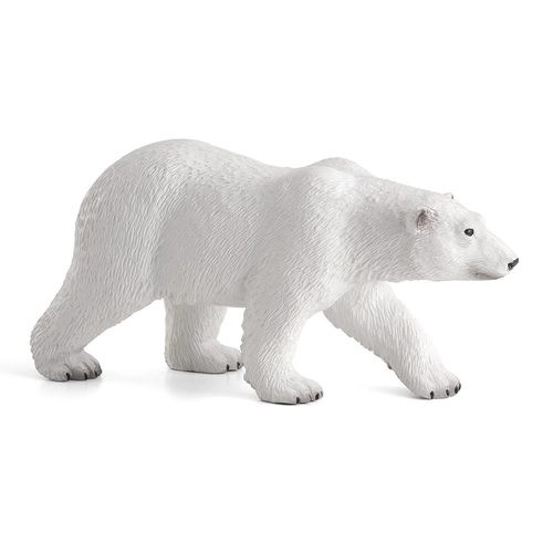 Полярна бяла мечка | P1440214