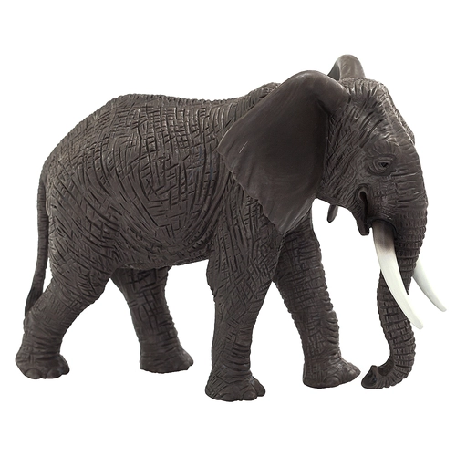 Африкански слон | P1440218