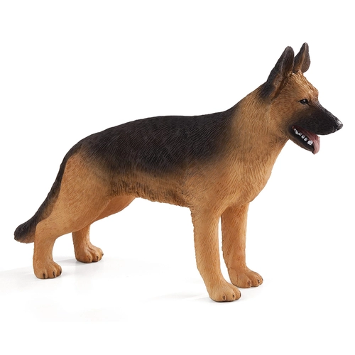 Куче порода Немска овчарка | P1440256